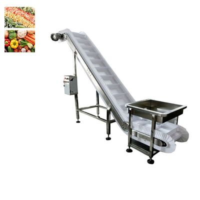 Vegetable Fruit Frozen Food Inclined Conveyor Automatic Belt Chain Conveying