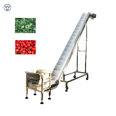Vegetable Fruit Frozen Food Inclined Conveyor Automatic Belt Chain Conveying