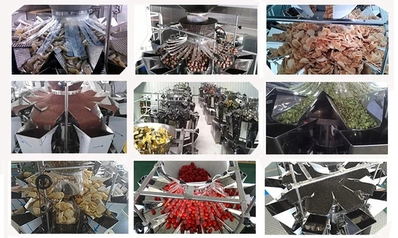 10 Heads Multihead Weigher 300g 500g For Fruits Blueberry Sea Food