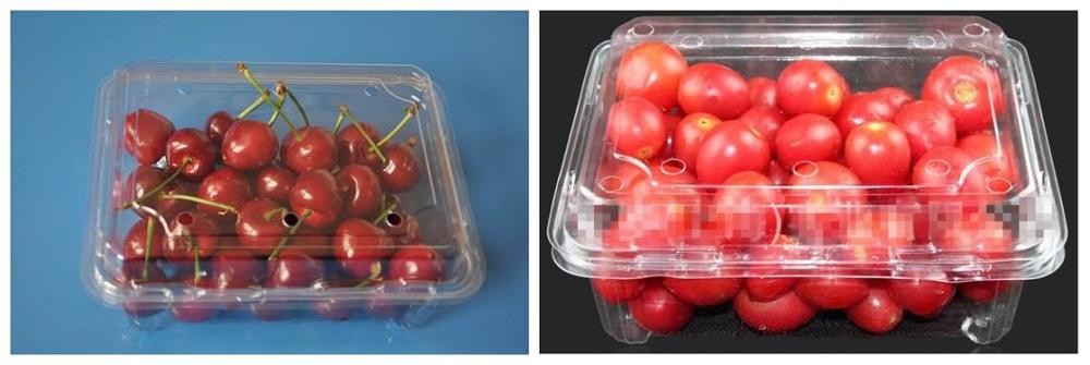 0.1 Gram Plastic Jar Packing Machine