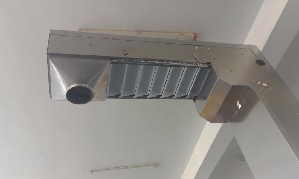 Food Grade 304SS Z Type Bucket Conveyor Plum Nuts Transport