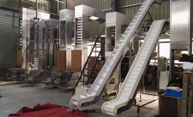 Inclined Belt Chain Conveyor For Conveying Frozen Food Fresh Cherry Burry